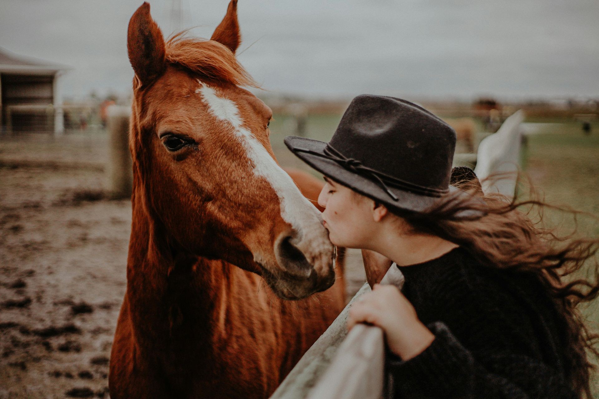 Horse best friends kissing young woman in hat