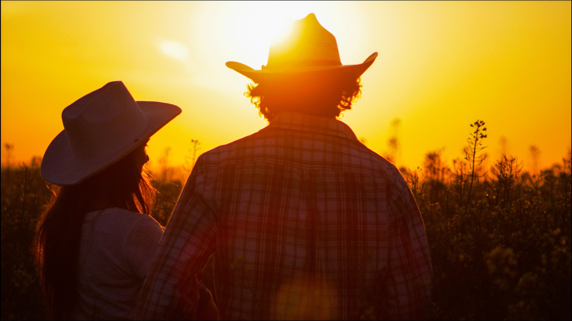 Couple in cowboy hats, seen from behind, view sunset while discussing the Neighborly Gift offer from Train Station Pest Elimination located in North Phoenix, ArZ